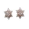 Faship Gorgeous Clear CZ Crystal Floral Snowflake Cluster Pierced Clip Earrings view 1