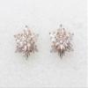 Faship Gorgeous Clear CZ Crystal Floral Snowflake Cluster Pierced Clip Earrings view 2