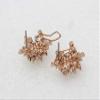 Faship Gorgeous Clear CZ Crystal Floral Snowflake Cluster Pierced Clip Earrings view 3