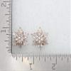 Faship Gorgeous Clear CZ Crystal Floral Snowflake Cluster Pierced Clip Earrings view 4