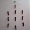 Topwater Spreader Bar (Root Beer) view 1
