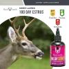 Hunters Specialties Buck Bomb Natural 180 Day Estrus Liquid Scent w/Wicks | Deer Buck Lure Hunting Primetime Post/Pre Rut Scent Attractant for Hunting, 4 Oz - 1 Bottle view 2