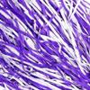 Anderson's Premium Light Purple and White School Spirit Shakers, Cheerleader Pom Poms, Sports Fan, Football, Basketball, Homecoming, Squad, Team, Party, Dance Club, Celebration Pack of 10 view 2