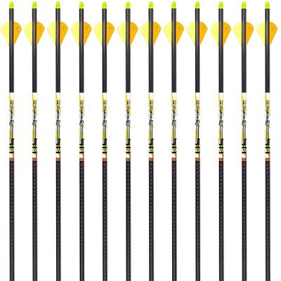 Carbon Express D-Stroyer SD Hunting Arrow Shafts, 12-Pack, Small Diameter .203ID, High Modulus Carbon Weave, Dual Spine Weight Forward Technology, Laser Checked, Length 31.5 - 300, 350 or 400 Spines