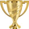 Crown Awards Large Cup Trophies, 9" Gold Cup Real Trophy Award with Custom Engraving, 5 Pack Prime view 2