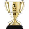 Crown Awards 7" Soccer Gold Cup Trophies, Custom Boys Soccer Acrylic Cup Trophy Prime view 1