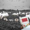 FOXPRO Snow Pro Electronic Snow Goose Game Call Comes with 2 External Speakers and Remote view 3