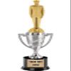 Crown Awards Military Trophy, 13" Silver Cup Male Military Trophies with Engraving Included, 10 Pack view 1