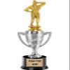 Crown Awards Bodybuilding Trophy, 13" Silver Cup Female Bodybuilder Trophies with Engraving Included, 10 Pack view 1