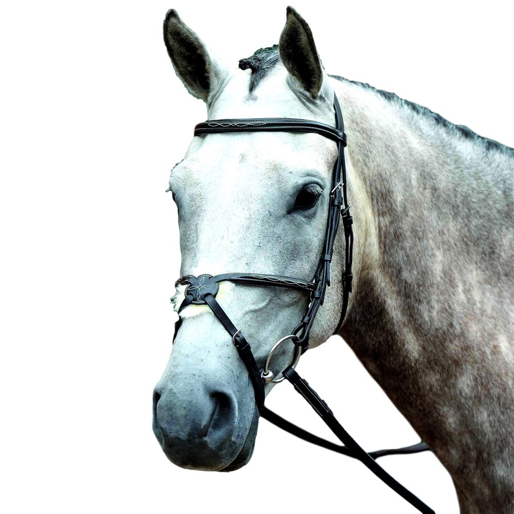 Collegiate Essential Padded Raised Fancy Stitched Figure 8 Bridle, Brown, Full