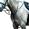 Collegiate Essential Plain Flat Running Martingale, Black, Full view 1
