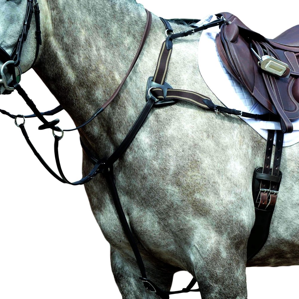 Collegiate Essential 5-Point Breastplate, Brown, Cob