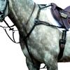 Collegiate Essential 5-Point Breastplate, Brown, Cob view 1