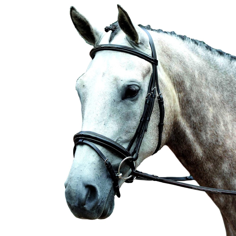 Collegiate Essential Padded Raised Fancy Stitched Flash Bridle, Brown, Full