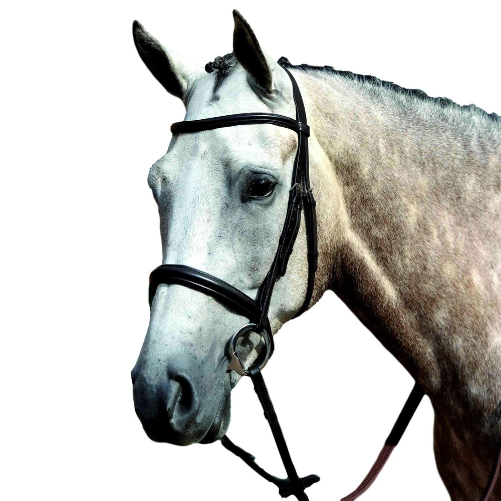 Collegiate Essential Padded Raised Cavesson Bridle, Brown, Pony