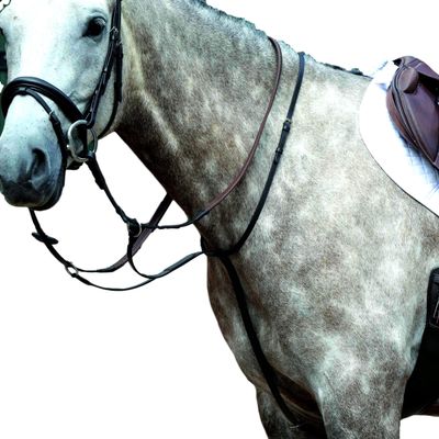 Collegiate Essential Plain Flat Running Martingale, Brown, Cob