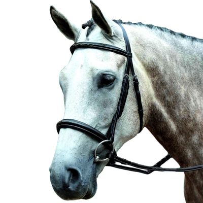 Collegiate Essential Padded Raised Fancy Stitched Cavesson Bridle, Brown, Cob