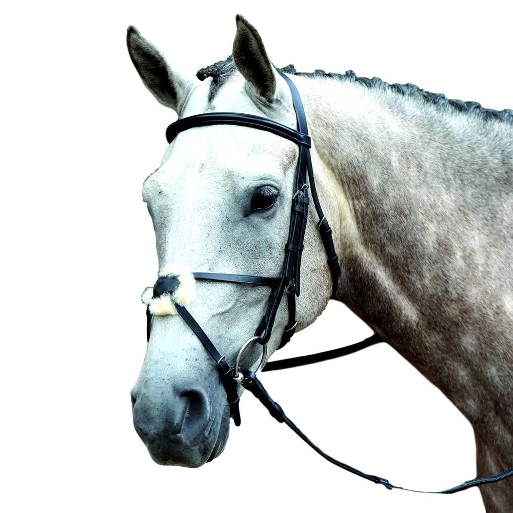 Collegiate Essential Padded Raised Figure 8 Bridle, Black, Warmblood