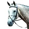 Collegiate Essential Padded Raised Figure 8 Bridle, Black, Warmblood view 1