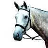 Collegiate Essential Padded Raised Cavesson Bridle, Black, Full view 1