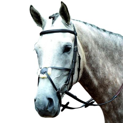 Collegiate Essential Padded Raised Figure 8 Bridle, Brown, Warmblood