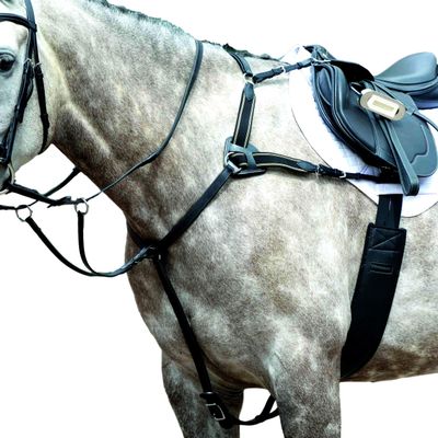 Collegiate Essential 5-Point Breastplate, Black, Warmblood