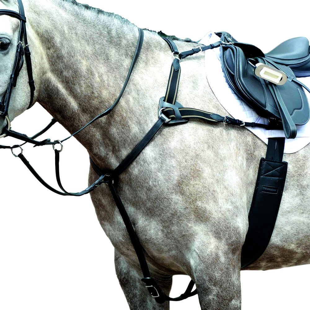 Collegiate Essential 5-Point Breastplate, Black, Warmblood