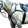 Collegiate Essential 5-Point Breastplate, Black, Warmblood view 1