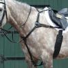 Collegiate Essential 5-Point Breastplate, Black, Warmblood view 2