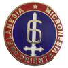 6TH MAR DIV HAT LAPEL PIN OR HAT PIN - Size 7/8" - VETERAN OWNED BUSINESS view 1
