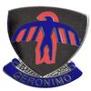 501ST INFANTRY LAPEL PIN OR HAT PIN - Size 1-1/8" - VETERAN OWNED BUSINESS view 1