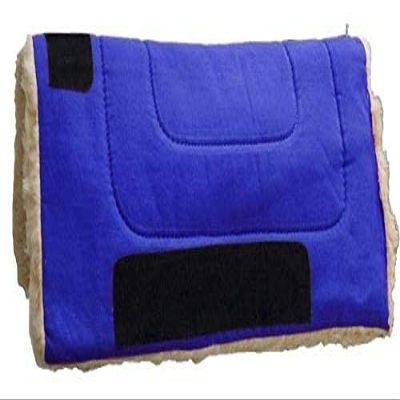 Showman Pony 24" x 24" Heavy Canvas Top Saddle Pad (Blue)