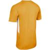 Champro Boys Check Youth Baseball Jersey, Gold, White, X-Small US view 3