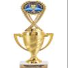 Crown Awards Fathers Day Trophy, 10" Gold Cup Fathers Day Trophies with Engraving Included, 10 Pack Prime view 1