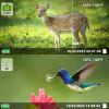 Folgtek 4K Hunting Camera Wildlife Cam 32MP Image & 2160P H.264 Video with Night Vision Motion Activated Password Protected & 120 Wide Angle for Detection Backyard Farm Wild Animals view 3