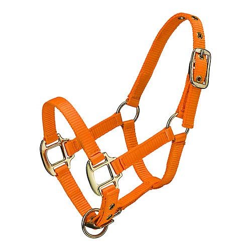 OZARK Mini Neon Nylon Halter L Orange