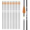 26 inch Carbon Arrow Hunting Arrows with 100 Grain Removable Tips for Archery Compound & Recurve & Traditional Bow Practice Shooting (Pack of 12) view 1