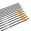 26 inch Carbon Arrow Hunting Arrows with 100 Grain Removable Tips for Archery Compound & Recurve & Traditional Bow Practice Shooting (Pack of 12) view 4