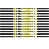 Carbon Express D-Stroyer Hunting Arrow Shafts, 12-Pack, High Modulus Carbon Weave, Dual Spine Weight Forward Technology, Laser Checked, Length 31.5 - 350, 400, or 500 Spine view 1