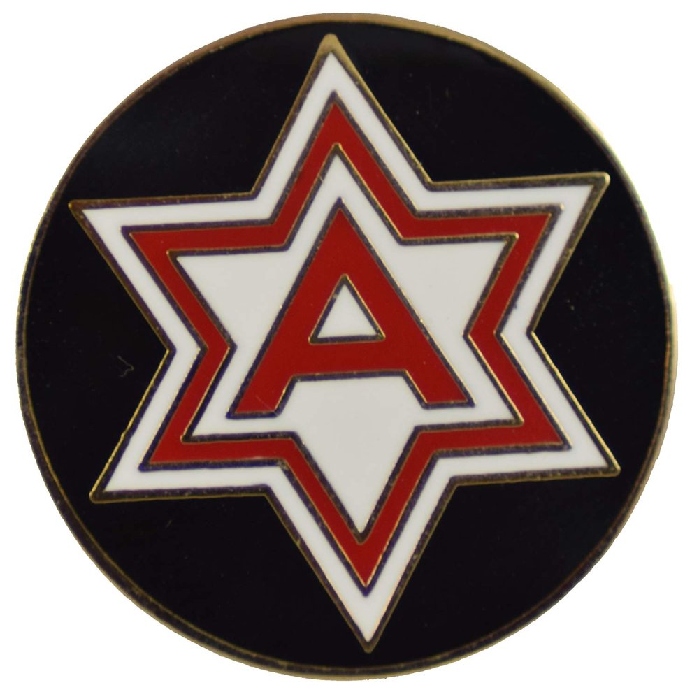 6TH ARMY LAPEL PIN OR HAT PIN - Size 7/8" - VETERAN OWNED BUSINESS