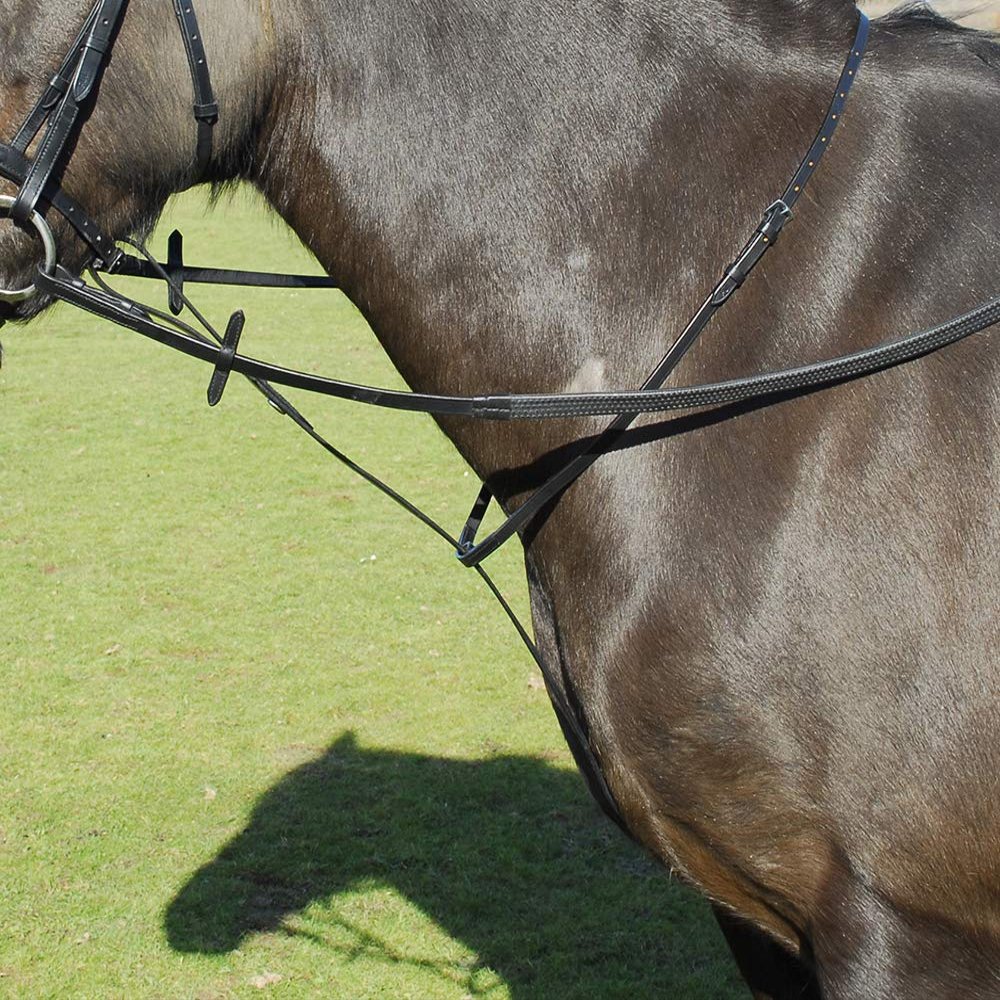 Windsor Leather Standing Martingale in Black or Havana Cob, Black