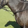 Windsor Leather Standing Martingale in Black or Havana Cob, Black view 1