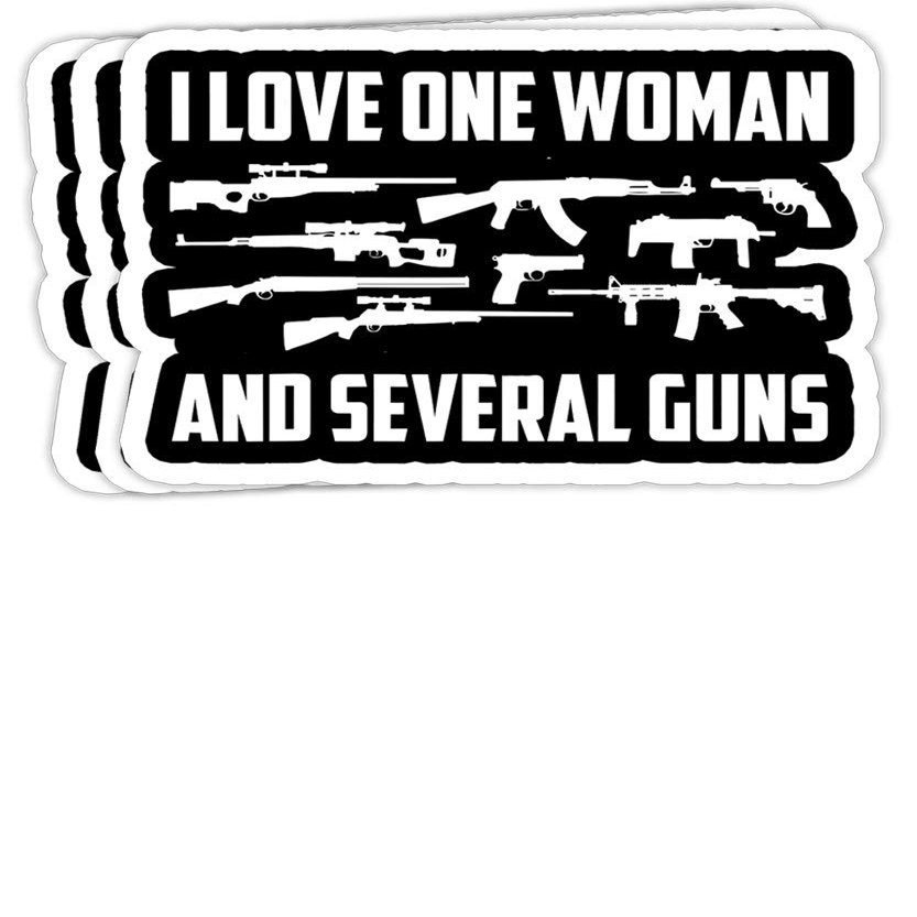 Chilli Purple Mens I Love One Woman & Several Guns 2A Right Gift for Him Gift Decorations - 4x3 Vinyl Stickers, Laptop Decal, Water Bottle Sticker (Set of 3)