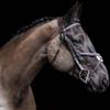 Exion Figure 8 English Jumping Bridle with Soft Padding & Rubber Reins | Anatomical Mono Crown | Grakle Noseband Mexican Bridle with SS Buckles | Premium Horse Bridle for Jumping & Eventing view 2