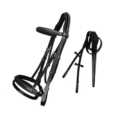 ExionPro Exion English Jumping Hunter Bridle with Removable Flash Noseband & Rubber Reins | Soft Padded Raised Snaffle Browband & Noseband | Anatomical Anti-Pressure Headpiece | Leather Horse Bridle
