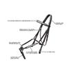 Exion Premium English Leather Figure 8 Bridle with Silver Clincher Noseband & Browband | Soft Padded Anatomical Crown Piece | Rubber Reins | Adjustable Fit | Jumping, Hunter, Eventing view 4