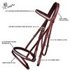 ExionPro Exion English Jumping Bridle with Flash  Anatomical Padded Crownpiece & SS Clincher Studded Browband  Premium Leather Horse Bridle  Black & Brown  Pony to Full view 4