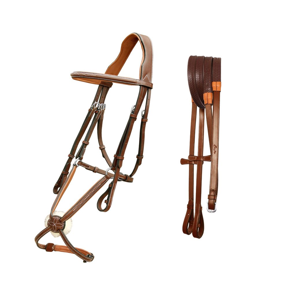 Exion Jumping Horse Bridle | Anatomical Figure 8 Bridle with Fancy Stitching & Padded Grackle Noseband | Rubber Grip Reins & SS Hadrware | English Tack for Equestrian Show & Training