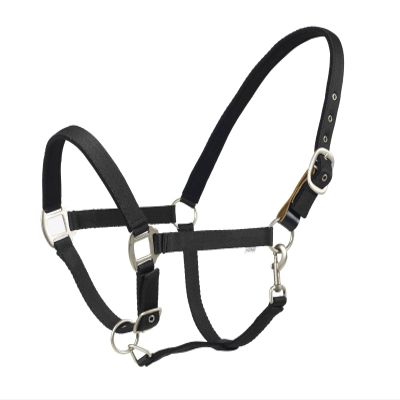 CENTAUR Solid Cushion Padded Breakaway Halter