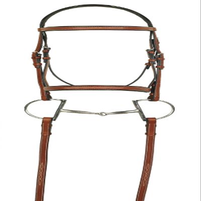 ARAMAS Fancy Raised Padded Bridle with Fancy Lace Reins